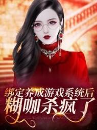 第二夫人是什么意思