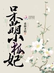 跟霍律师打离婚官司.免费