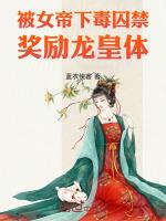 无极神医叶风云