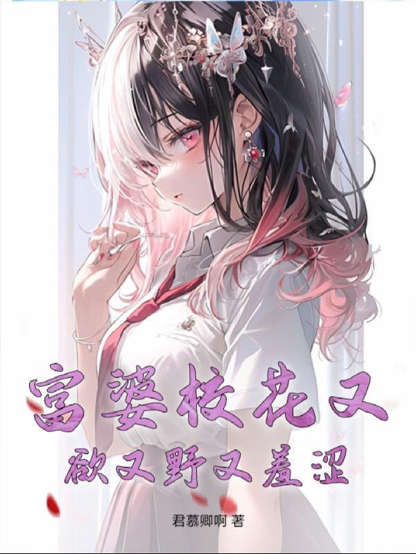 城里的魔法师完结了吗