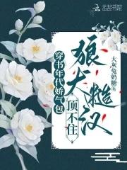 新婚笔记春与鸳