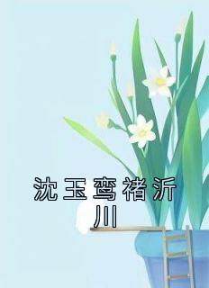 上医至明无防盗