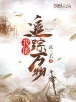 天师寻龙诀视频1-80集免费观看