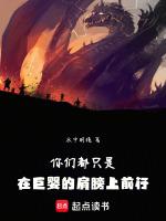 沈湖的作品重生年代好年华